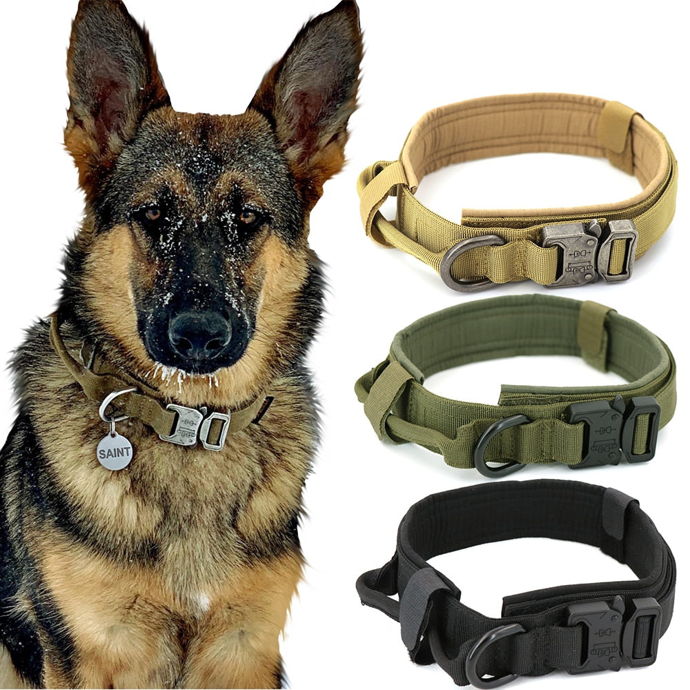 Dog Collar - Mabenir