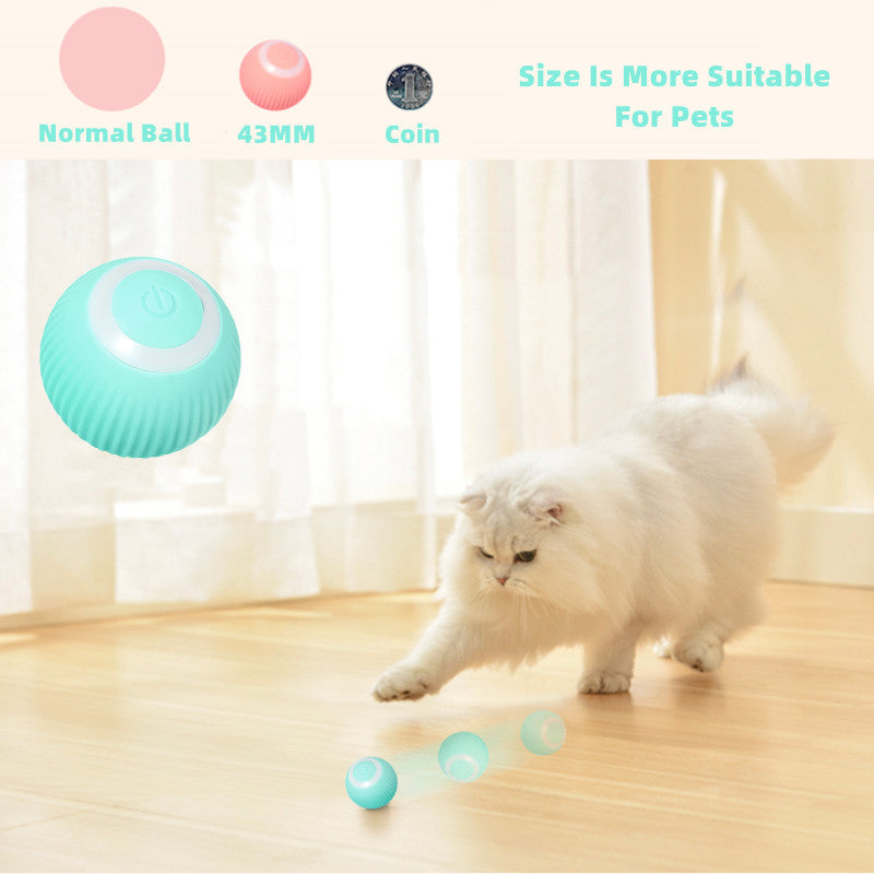 Smart Cat Ball Toys - Mabenir