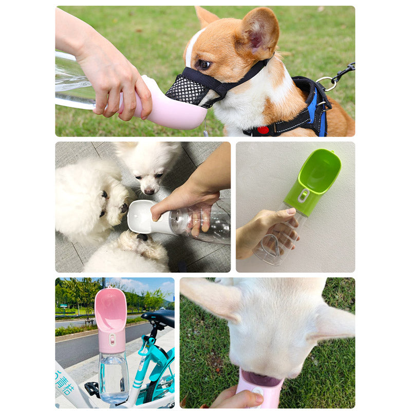 Pet Dog Water Bottle Feeder - Mabenir