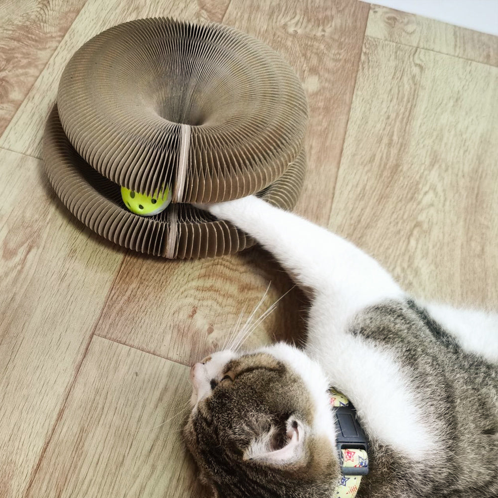 Cat Scratcher - Mabenir