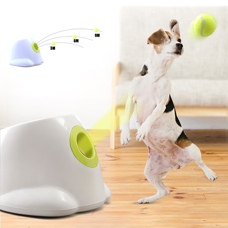 Dog pet Tennis Launcher - Mabenir