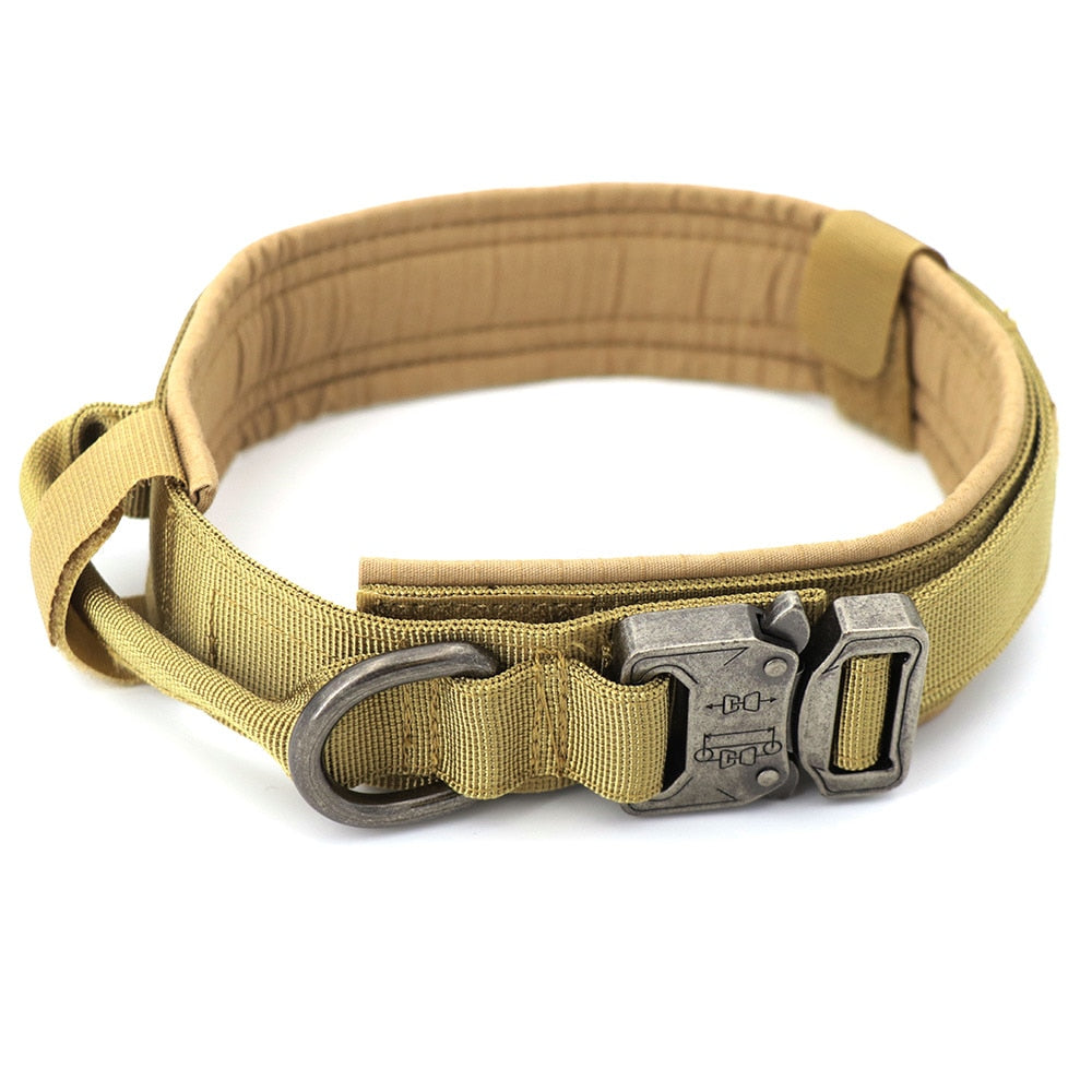 Dog Collar - Mabenir