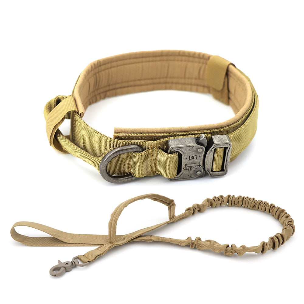 Dog Collar - Mabenir