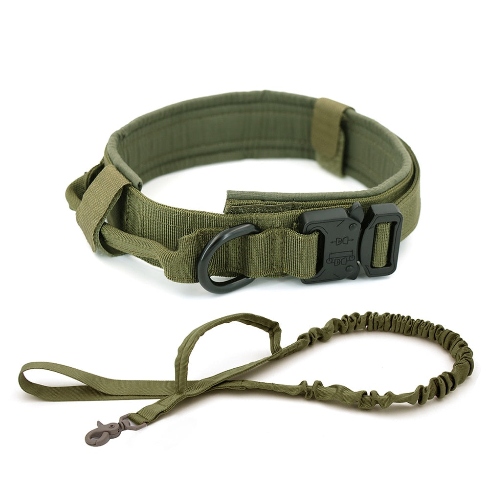 Dog Collar - Mabenir