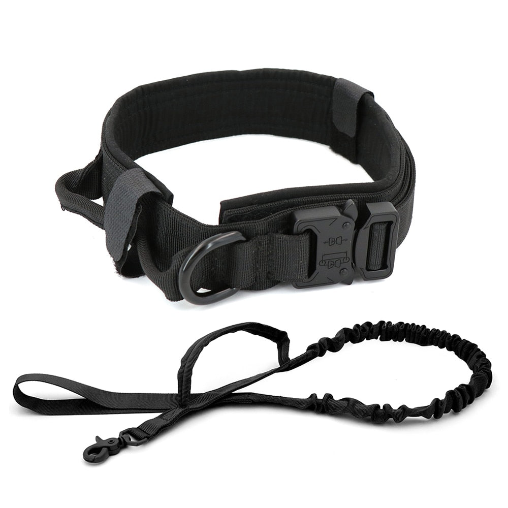 Dog Collar - Mabenir