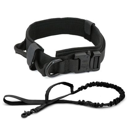 Dog Collar - Mabenir