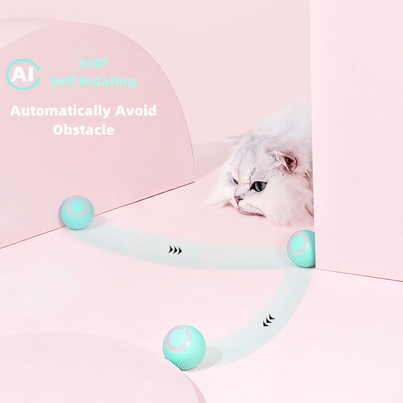 Smart Cat Ball Toys - Mabenir