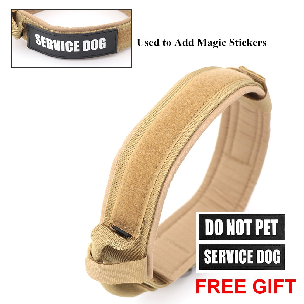 Dog Collar - Mabenir