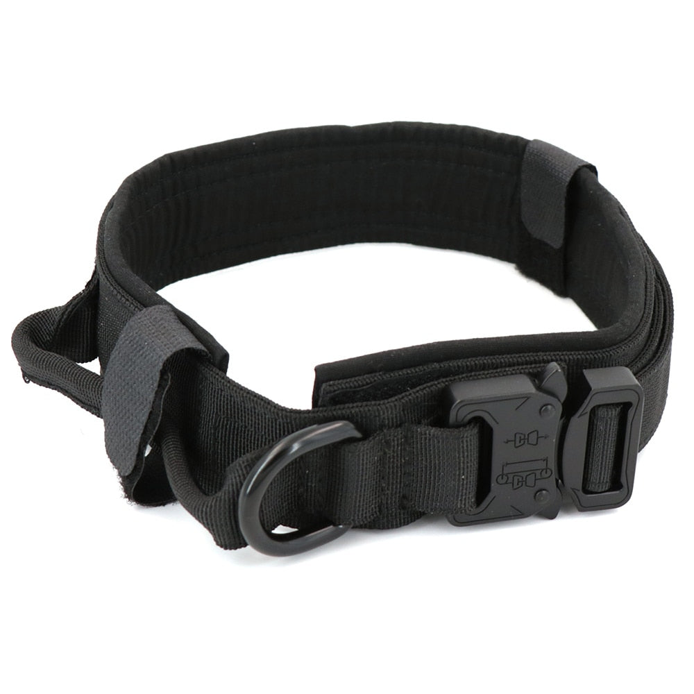 Dog Collar - Mabenir