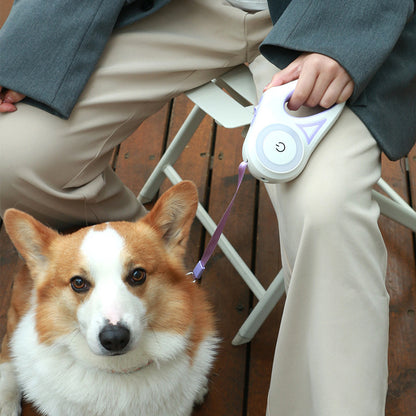 Led Lights Dog Leash - Mabenir