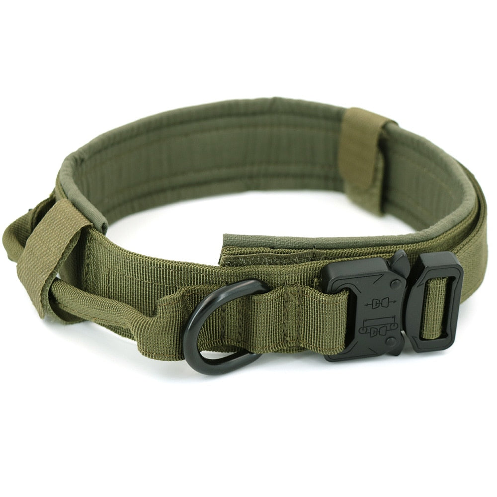 Dog Collar - Mabenir