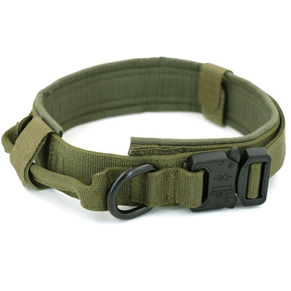 Dog Collar - Mabenir